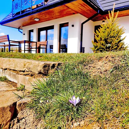 Na Polanie Czerwienne